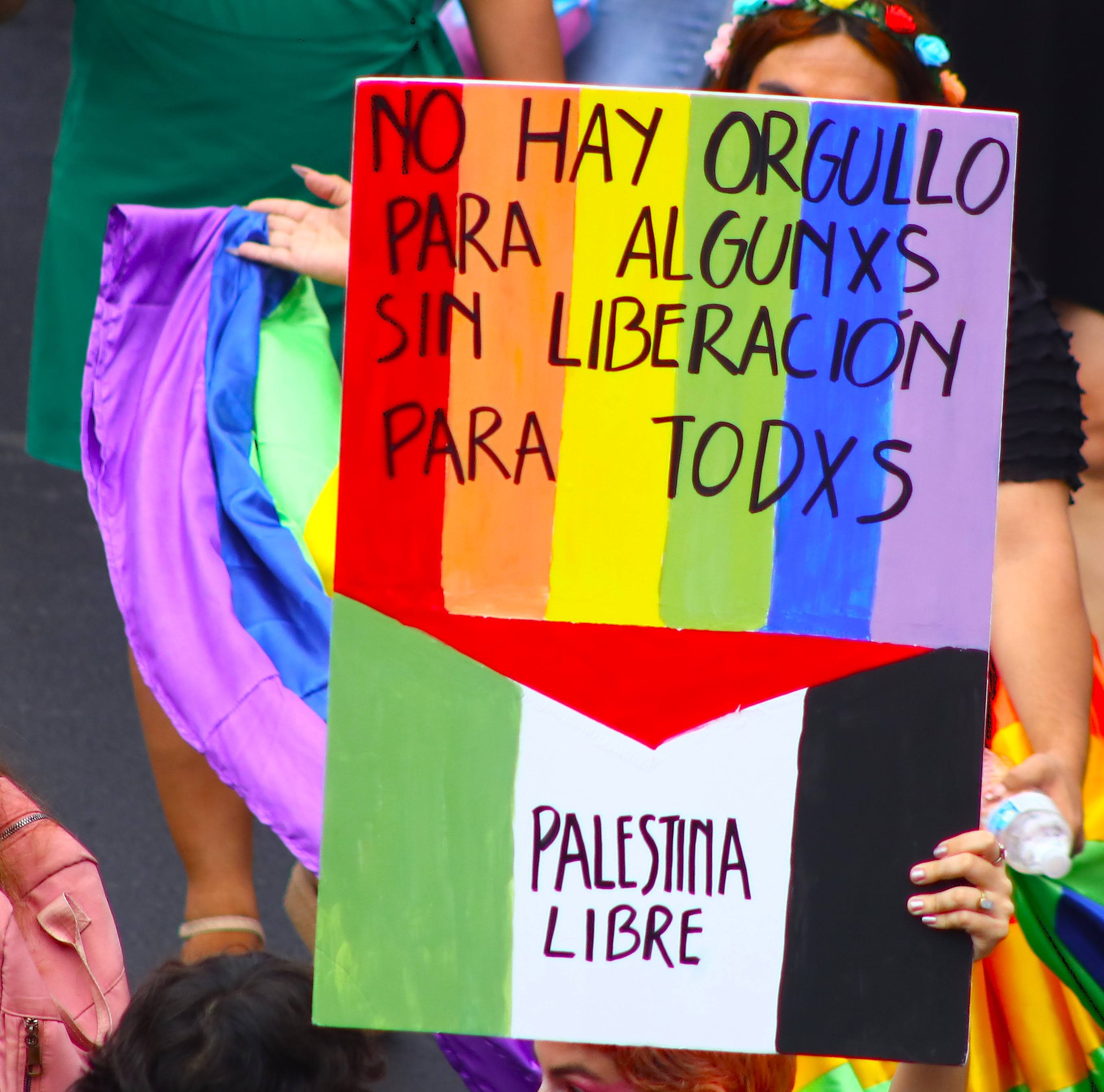 Protester with a sign painted half with the Pride Flag and half with the Palestinian flag that says "There can be pride for some without liberation for all. Free Palestine"