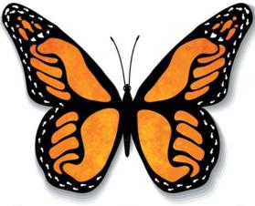 Power Butterfly