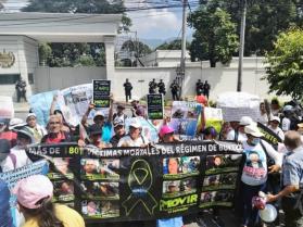 MOVIR protesters in front of the presidential palace, which is guarded by police