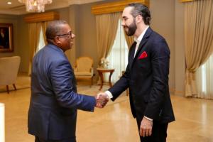 Assistant Secretary of State Brian Nichols shakes hands with El Salvador President Nayib Bukele in El Salvador's Presidential Palace